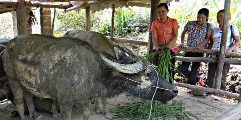 Con số may mắn phát tài không nên bỏ qua