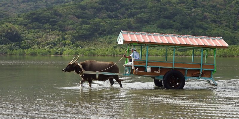 Một số tình huống thường hay bắt gặp trong cuộc sống