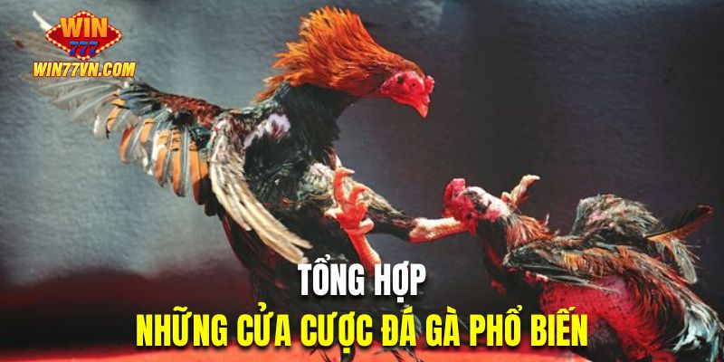 Top cửa cược đá gà phổ biến hiện nay